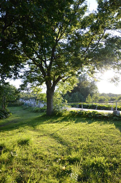 Tobisviks Camping Simrishamn Dış mekan fotoğraf